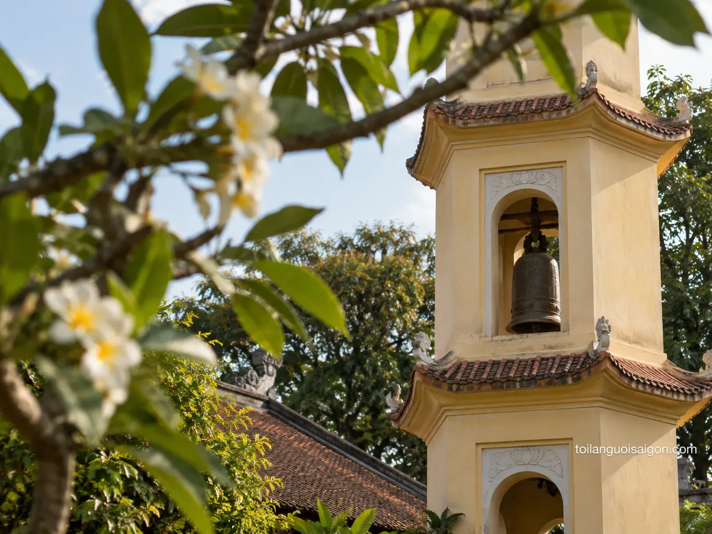 Ảnh minh họa Chùa Xá Lợi